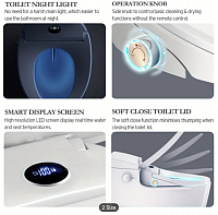 Luxury Bidet Toilet Seat with Advanced Features - Wireless Remote Control,